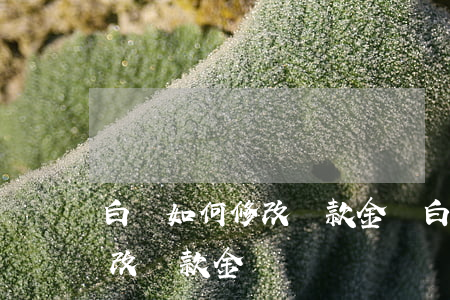 白條如何修改還款金額（白條逾期賬單怎么修改還款金額）