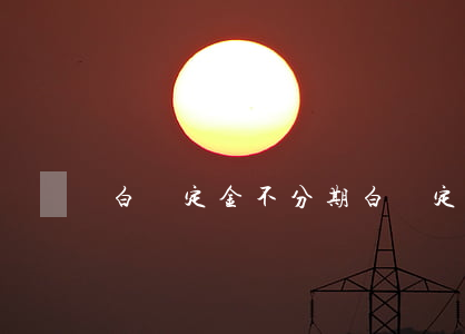 白條定金不分期(白條定金不分期能退嗎)