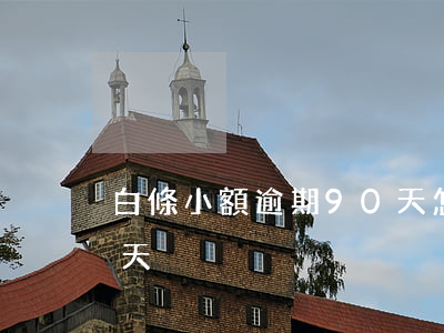 白條小額逾期90天怎么辦 白條逾期一百多天
