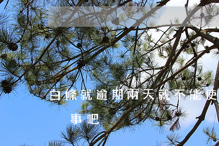 白條就逾期兩天就不能使用了(白條逾期兩天沒事吧)
