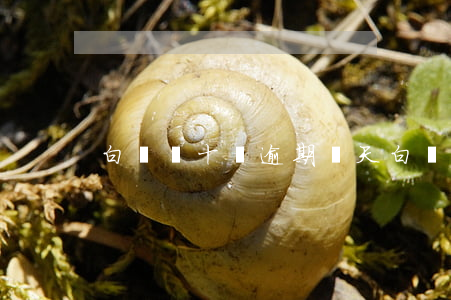白條幾十塊逾期幾天(白條幾十塊逾期幾天)