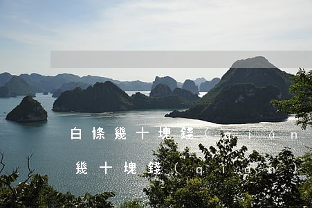 白條幾十塊錢(qián)逾期幾天-白條幾十塊錢(qián)逾期幾天