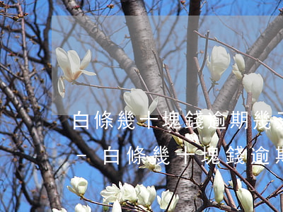 白條幾十塊錢逾期幾天會(huì)上征信-白條幾十塊錢逾期幾天會(huì)上征信?