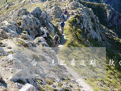 白條怎么看逾期還款(白條怎么看逾期多久了)