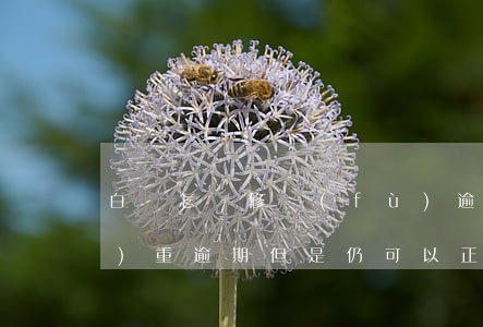 白條怎樣修復(fù)逾期(白條嚴(yán)重逾期但是仍可以正常使用怎么回事)