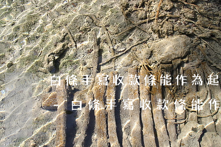白條手寫收款條能作為起訴依據(jù)嗎-白條手寫收款條能作為起訴依據(jù)嗎怎么寫