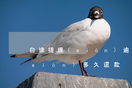白條提現(xiàn)逾期8天(白條提現(xiàn)多久還款)