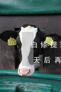 白條提現(xiàn)逾期一天 白條逾期幾天后再還款多久可以再取現(xiàn)
