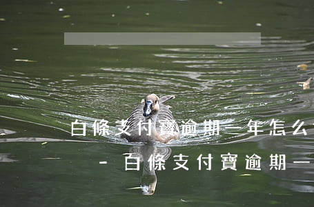 白條支付寶逾期一年怎么協(xié)商解決-白條支付寶逾期一年怎么協(xié)商解決的