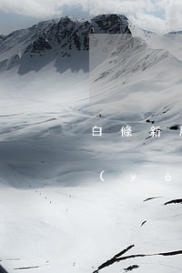 白條新用戶分期免息嗎 白條新用戶有什么優(yōu)惠