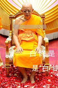 白條是不是逾期馬上就沒(méi)有了 要是白條逾期了怎么辦