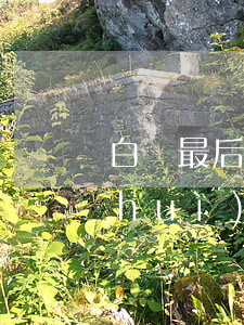 白條最后還款日逾期了會(huì)不會(huì)影響-白條逾期兩天還上有啥影響0
