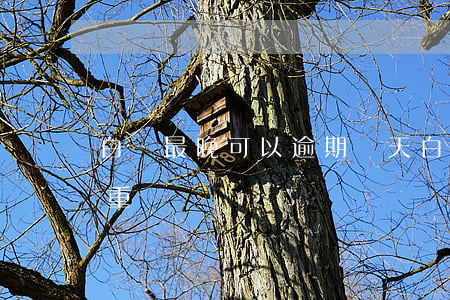 白條最晚可以逾期幾天(白條逾期一天嚴不嚴重)