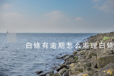 白條有逾期怎么處理(白條可以逾期嘛)