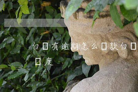 白條有逾期怎么還款(白條逾期還清后多久有額度)