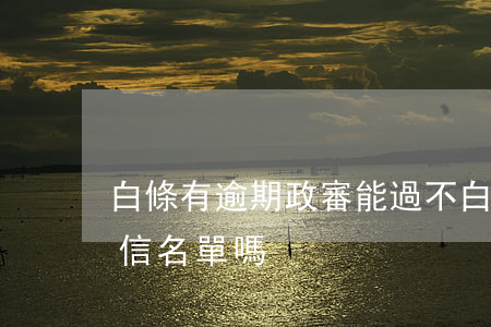 白條有逾期政審能過不(白條逾期多久會上征信名單嗎)