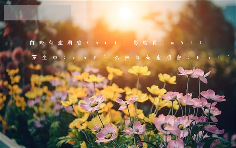 白條有逾期會(huì)影響買(mǎi)票坐車(chē)么(白條有逾期會(huì)影響買(mǎi)票坐車(chē)么)