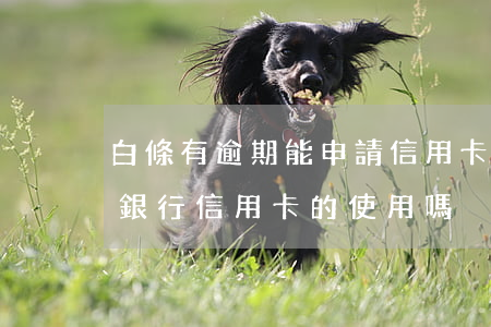 白條有逾期能申請信用卡嗎(白條逾期會影響銀行信用卡的使用嗎)