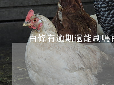 白條有逾期還能刷嗎(白條逾期能用嗎)