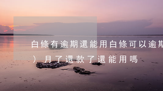 白條有逾期還能用(白條可以逾期一個(gè)月了,還款了還能用嗎)