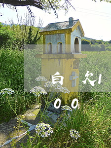 白條欠12000逾期三個月(白條逾期6000)