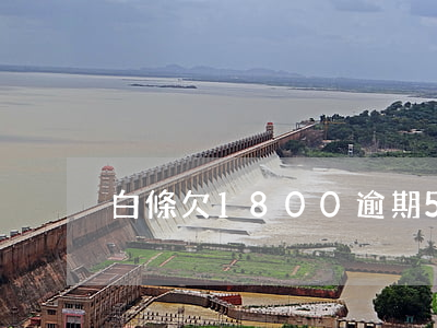白條欠1800逾期5年還多少-