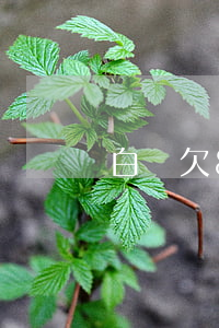 白條欠8000逾期后果是什么