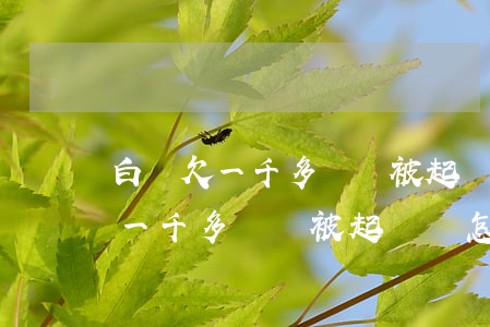 白條欠一千多塊錢被起訴會怎么樣-白條欠一千多塊錢被起訴會怎么樣嗎
