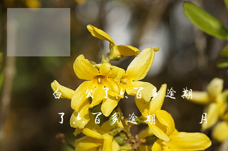 白條欠了六百多逾期兩個月會怎樣-白條欠了六百多逾期兩個月會怎樣處理