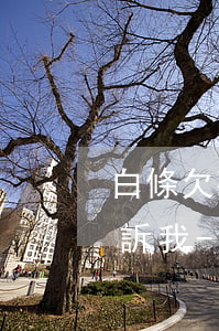 白條欠款10000多說(shuō)要起訴我-白條欠款10000多說(shuō)要起訴我是真的嗎