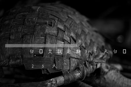 白條欠款逾期37天(白條逾期一百欠款逾期25天)