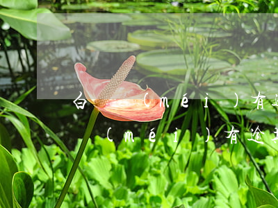 白條沒(méi)有逾期突然被鎖定了(白條沒(méi)有逾期就鎖定了)