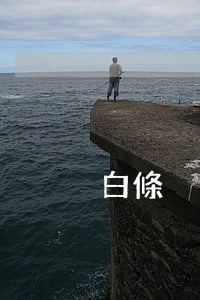 白條沒(méi)逾期不給提額度嗎