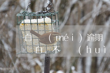白條沒(méi)逾期會(huì)被起訴嗎 白條不還會(huì)被起訴么