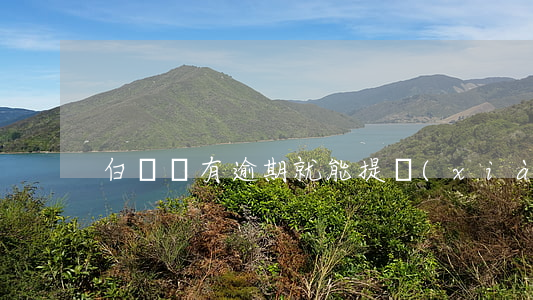 白條沒有逾期就能提現(xiàn)嗎