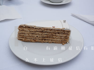 白條沒有逾期征信有影響嗎(白條逾期了為什么不上征信)