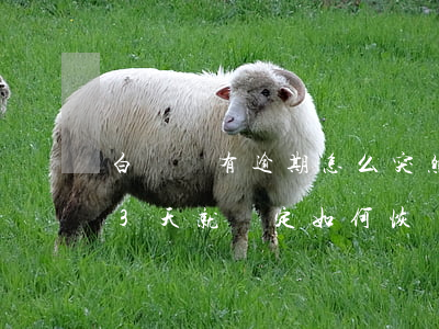 白條沒有逾期怎么突然給我鎖了-白條逾期3天就鎖定如何恢復(fù)