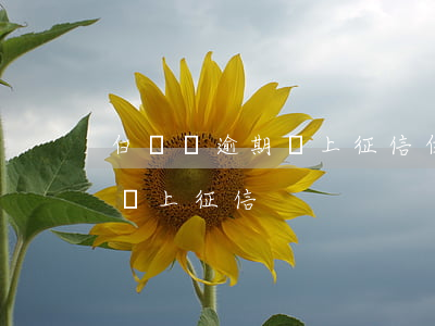白條沒逾期會上征信（白條500元逾期會不會上征信）