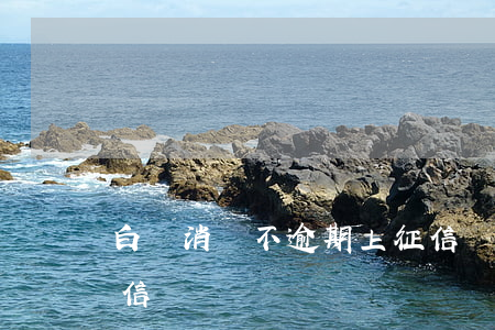 白條消費不逾期上征信嗎 白條消費上不上征信