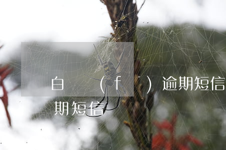 白條發(fā)逾期短信（白條發(fā)逾期短信）