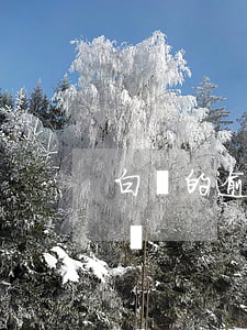 白條的逾期利息高嗎 白條還款逾期了會怎么樣?