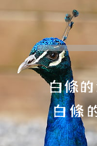 白條的逾期記錄怎么查(怎么查詢(xún)白條的逾期記錄)