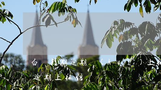 白條短期逾期會(huì)上征信嗎 白條沒逾期上征信嗎