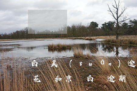 白條美團(tuán)逾期影響花唄借唄嗎(花唄和京東白條逾期會(huì)影響我貸款)