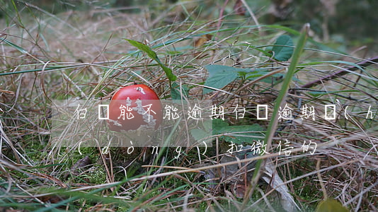 白條能不能逾期（白條逾期會(huì)自動(dòng)扣微信的）