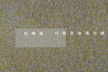 白條能夠分期免息嗎 白條消費可以辦分期嗎