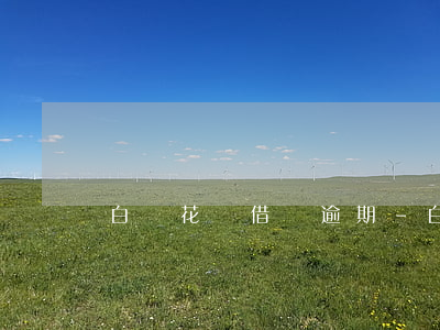 白條花唄借唄逾期-白條逾期過會有借唄嗎
