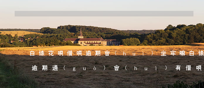 白條花唄借唄逾期會(huì)坐牢嘛(白條逾期過(guò)會(huì)有借唄嗎)