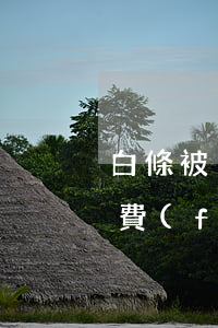 白條被盜刷了怎么辦（白條被盜刷造成的逾期費(fèi)用）