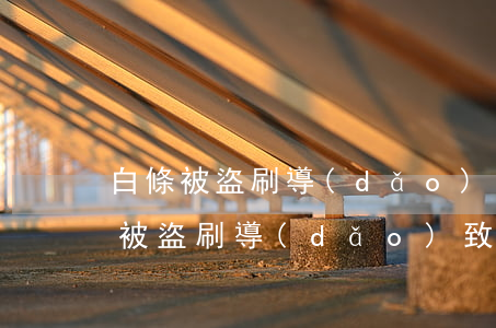 白條被盜刷導(dǎo)致逾期被起訴(白條被盜刷導(dǎo)致逾期被起訴)